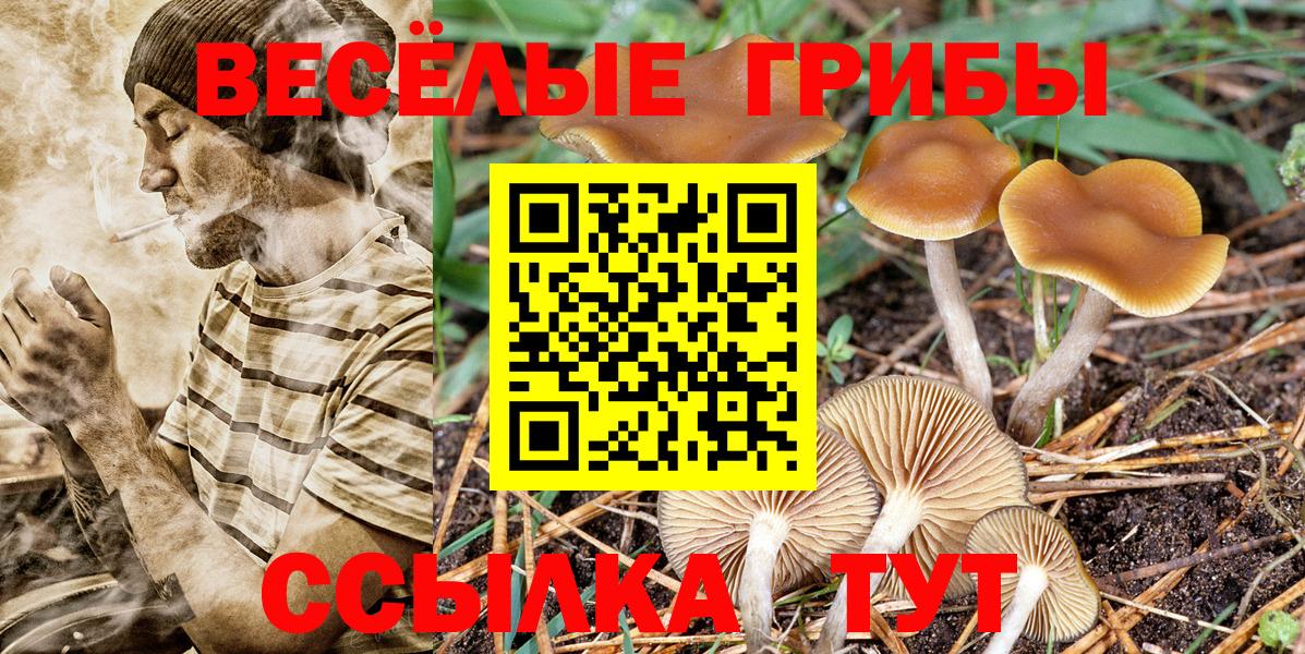 Псилоцибиновые грибы Magic Shrooms Магнитогорск